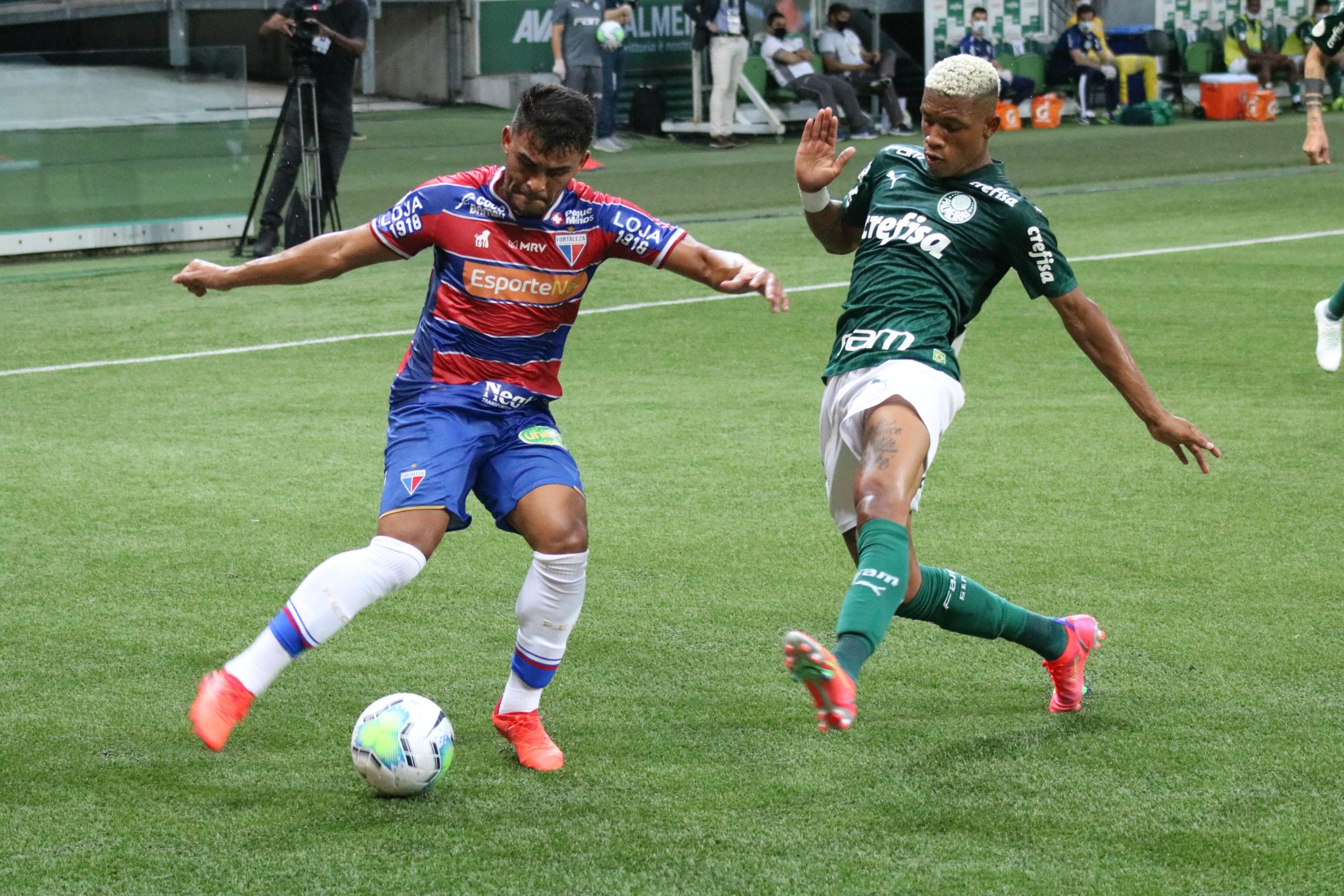 Palmeiras x Fortaleza: saiba como assistir ao jogo AO VIVO ...