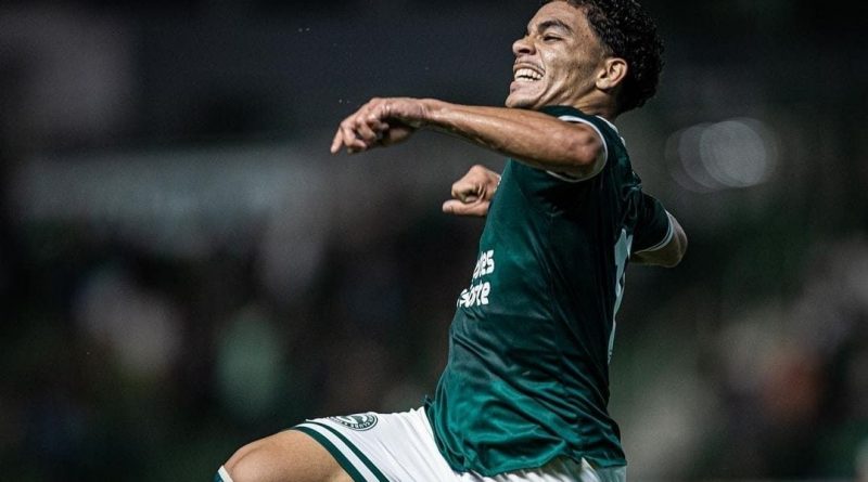 fortaleza-goias