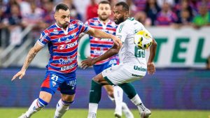 fortaleza-goias