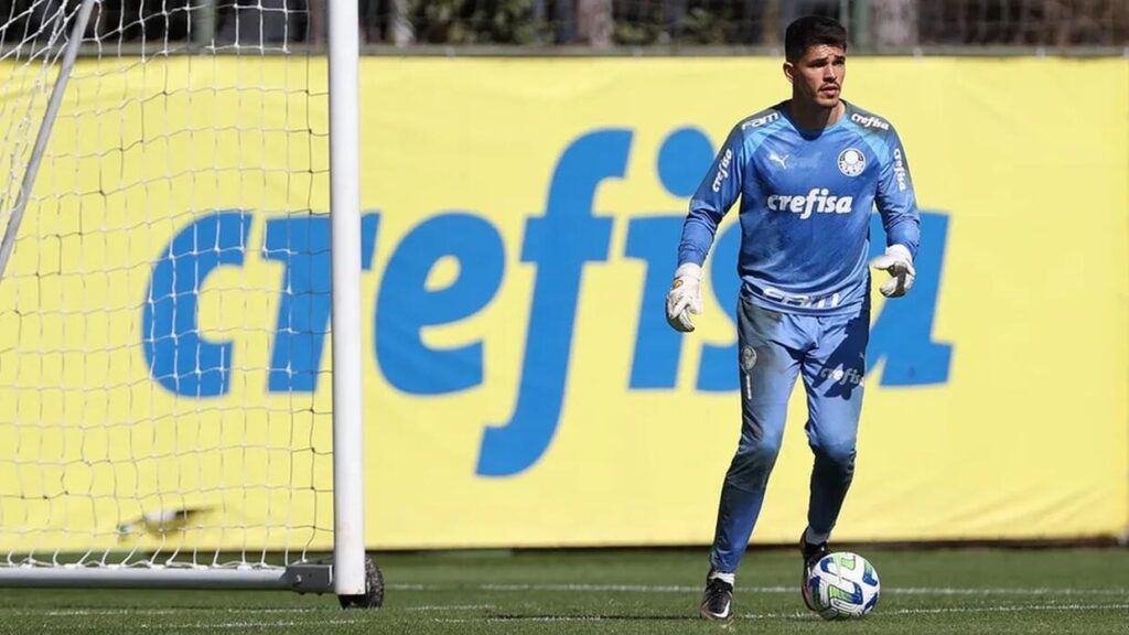 Vinícius Silvestre Fortaleza Palmeiras