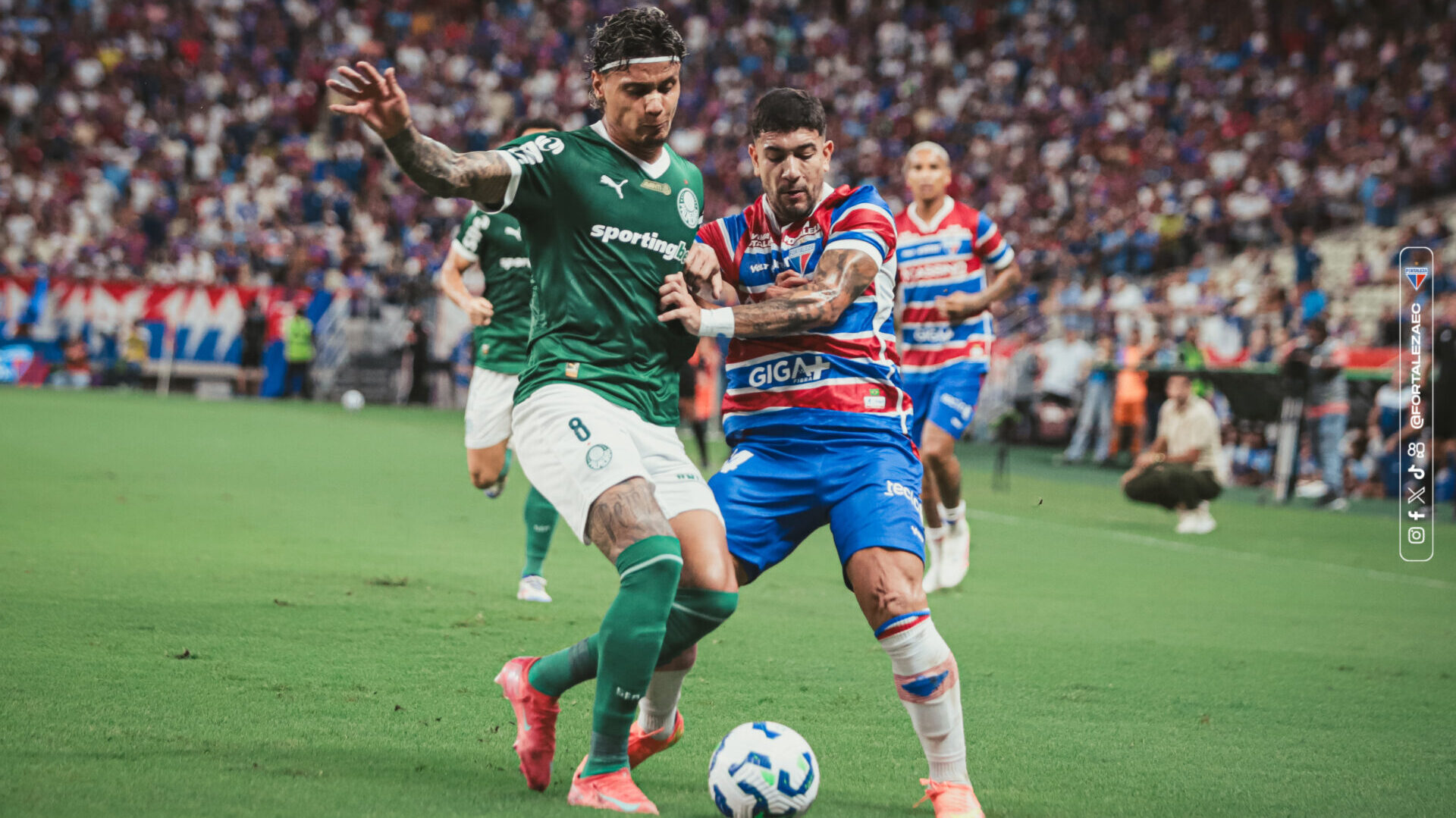 Fortaleza Palmeiras